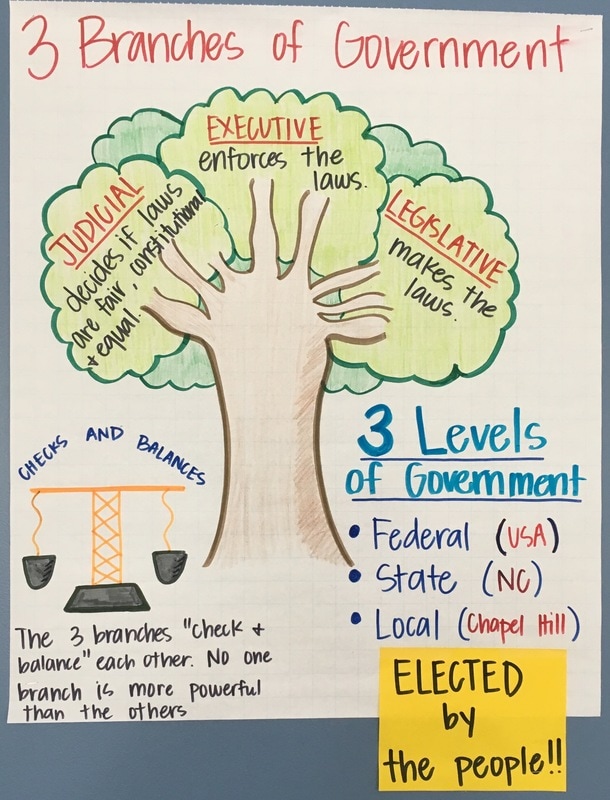 3 branches of government chart